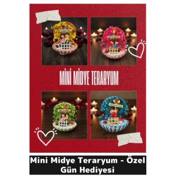 Mini Midye Teraryum - Özel Gün Hediyesi