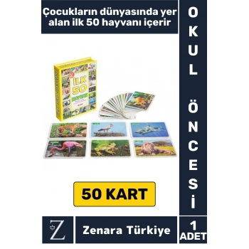 Okul Öncesi Koordinasyon Görsel Algı Geliştirici Hayvan İsimleri Öğretici Eğlenceli İLK 50 HAYVAN