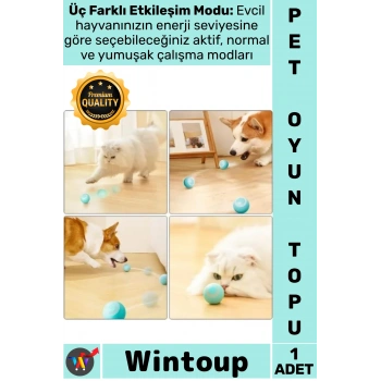 #Oyun Otomatik Akıllı Hareketli Sessiz Zıplayan USB Şarjlı İnteraktif Kedi Köpek Şarjlı Oyun Topu