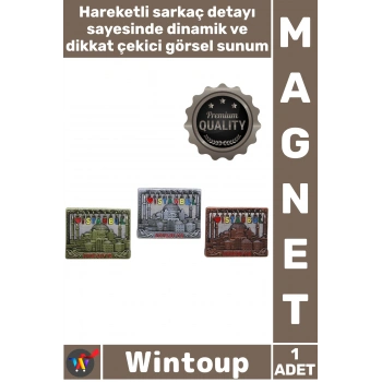 #Magnet Dekoratif Koleksiyon Turistik Hediye Şehir Konsept Hareketli Sarkaçlı İstanbul Temalı Magnet