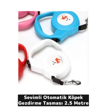 Sevimli Otomatik Köpek Gezdirme Tasması 2.5 Metre