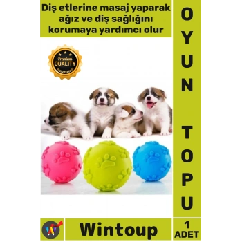 #Top Kaliteli Kauçuk Diş Kaşıyıcı İnteraktif Eğitici Çiğneme Oyun Pati Desenli Köpek Isırma Topu
