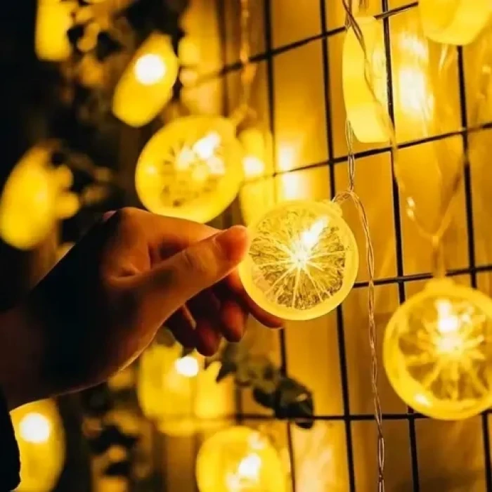 2m 10 Led Pilli Limon Işık