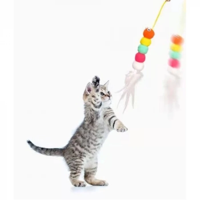 Elastik Kendinden Yapışkanlı Solucan Kedi Oltası