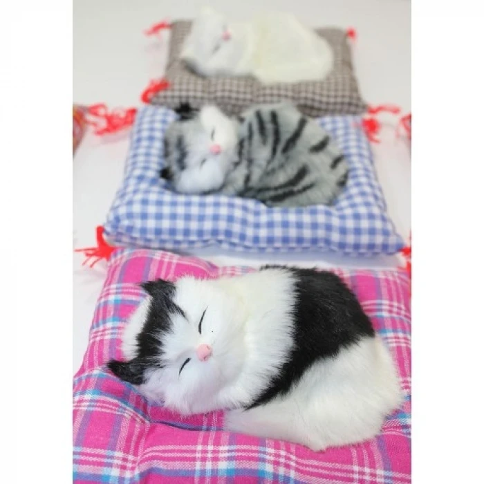 Yastıkta Uyuyan Kedi Sesli