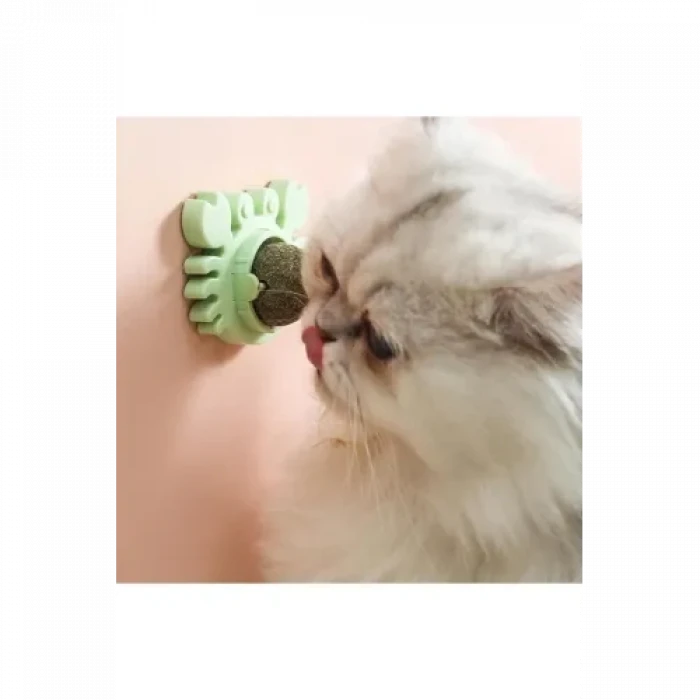 Yengeç Kedi Otu Oyun Topu