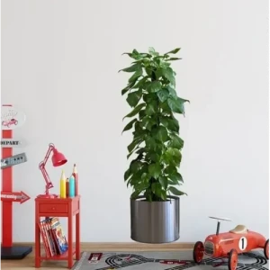 Saksılı Bitki Tasarımlı Yapışkanlı Sticker Resim 90*30 cm MC-665