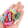 100lü Renkli Ahşap Mandal Seti 2.5 cm