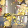 2m 10 Led Pilli Limon Işık