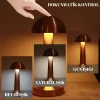 Dekoratif Led Masa Lambası 3 Renk Modlu