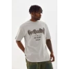 Erkek Baskılı T-shirt Kısa Kol Bisiklet Yaka Regular Fit Rahat Kalıp Günlük Tişört - Gri