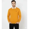 Erkek Bisiklet Yaka Nakış İşlemeli Triko Kazak Yumuşak Dokulu Pamuklu Ince Dokuma, Uzun Kollu Rahat Regular Kalıp - Turuncu