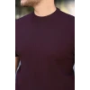 Erkek Bisiklet Yaka Petek Dokulu Kısa Kollu Triko Tişört
