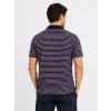 Erkek Pike Kumaş Gül Kurusu Çizgili Polo Yaka Tişört Kısa Kol T-shirt - Siyah