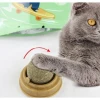 Kedi Nanesi (Catnip) Oyun Topu