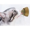 Kedi Nanesi (Catnip) Oyun Topu
