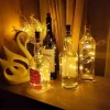 Mantar Tıpa Peri Led