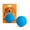 PetZoom Mavi Dikenli Köpek Oyun Topu