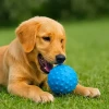 PetZoom Mavi Dikenli Köpek Oyun Topu