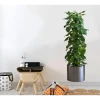 Saksılı Bitki Tasarımlı Yapışkanlı Sticker Resim 90*30 cm MC-665