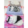 Yastıkta Uyuyan Kedi Sesli