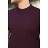 Erkek Bisiklet Yaka Petek Dokulu Kısa Kollu Triko Tişört