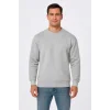 Erkek Üç İplik Düz Bisiklet Yaka SweatShirt - Gri