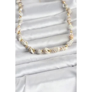 Doğal Deniz Kabuğu Dizi Kadın Kolye - TJ-BKO11062