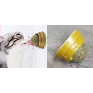 Kedi Nanesi Topu