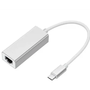 ZR117 Type-C Ethernet Metal Çevirici