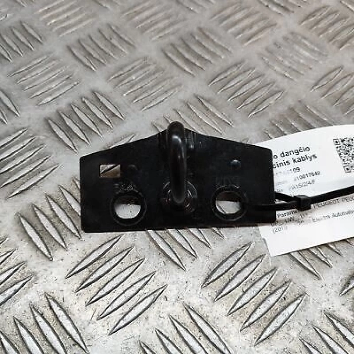 Bagaj Kilit Karsılık Psa 208/3008/5008/Rıfter B.M 2012- (Oem No: 9808866880)