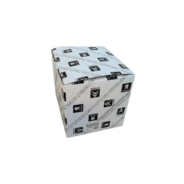 Bagaj Pandızot Yan Bakalıt Psa 508 97-00 (Oem No: 98222371Zd)