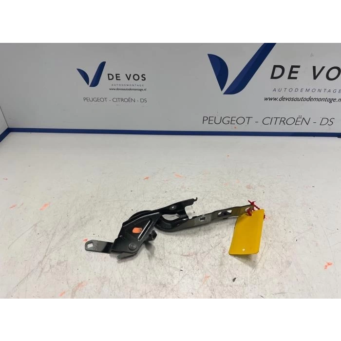 Motor Kaput Menteşesi : Sağ Opel Corsa F Bm 20- (Oem No: 9823211580)