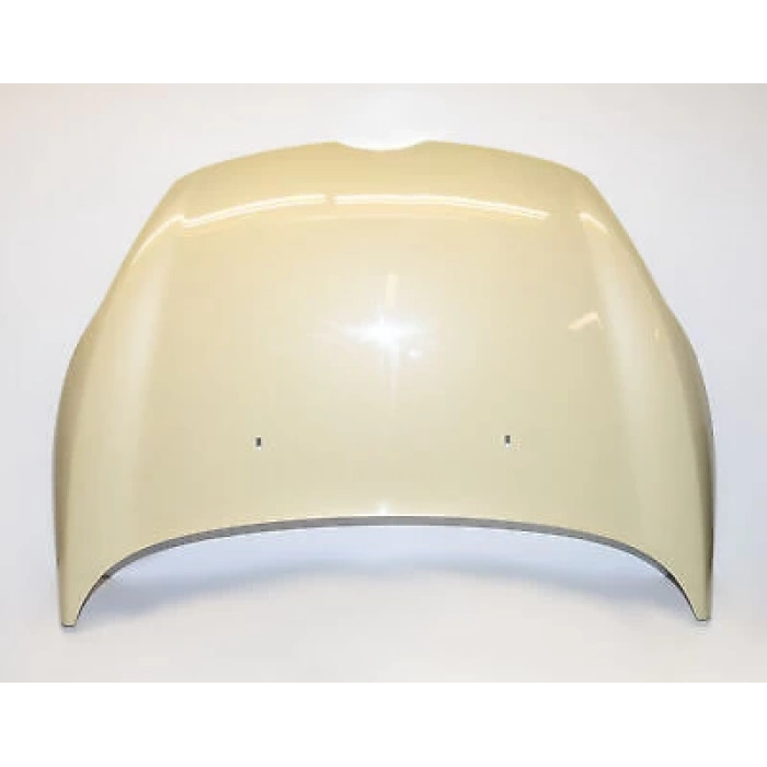 Motor Kaputu Ford Fıesta Bm 08- (Oem No: P9A61 A16610 Ah)