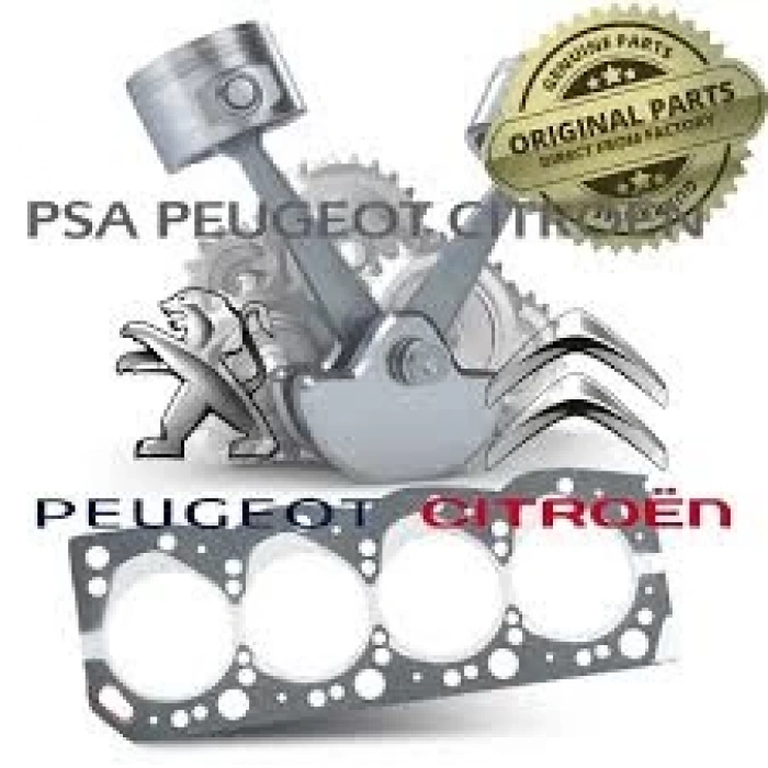 Ön Panel Yan Saç Psa 3008 B.M 2016- (Oem No: 9847839880)