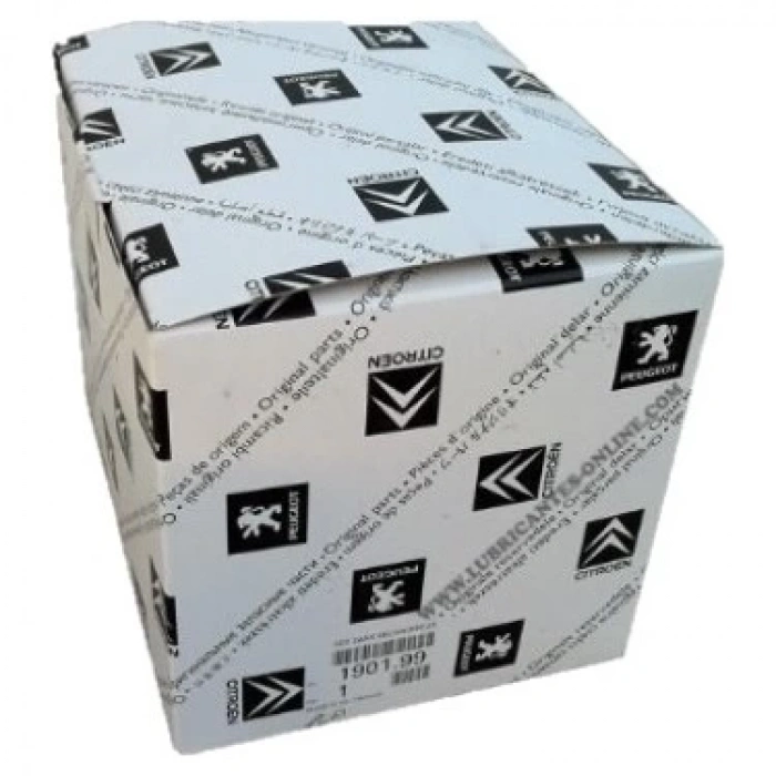 Sol Ön Kapı Fıtılı Psa C4 (C41) (Oem No: 9830614480)