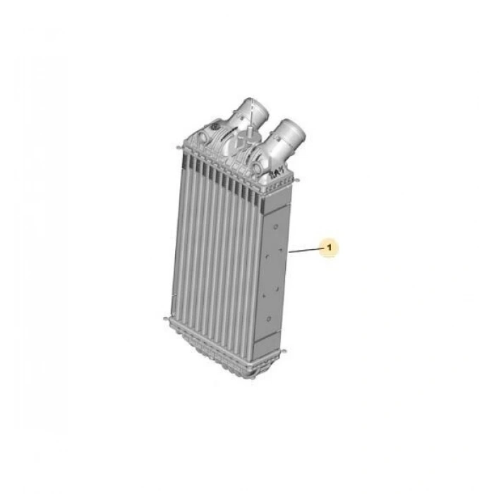 Turbo Radyatörü Opel Corsa F Bm 20- (Oem No: 9825341380)