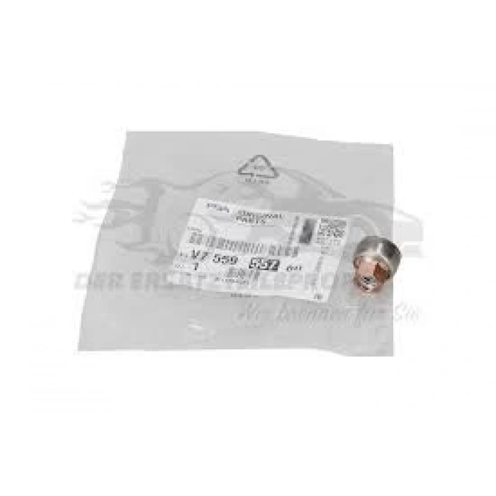 Turbo Baglantı Somunu Psa 207/208/308 B.M 07- (Oem No: V755955780)