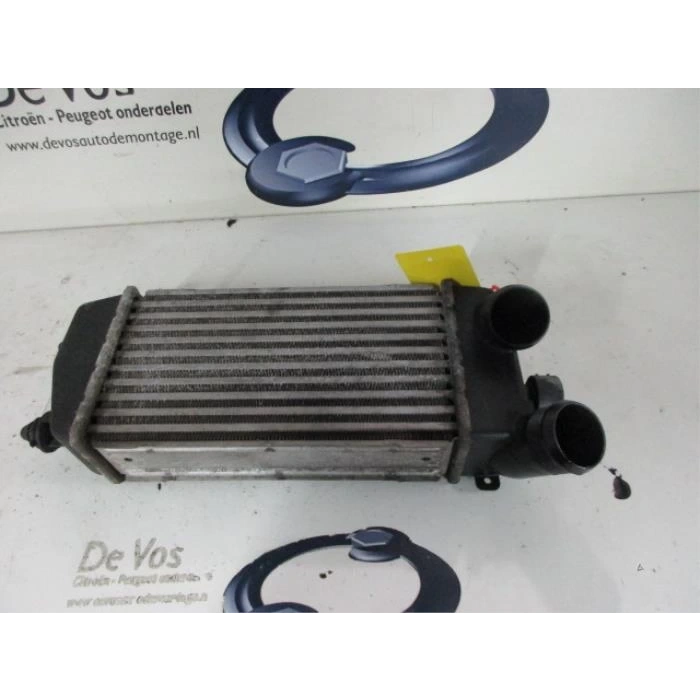 Turbo Radyatörü (Intercooler) C3 04Sonrasıdv4Ted4  90 Hp (Oem No: 0384G2)