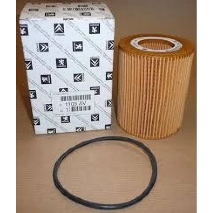 Yağ Filtresi C5 / C6 / 407 / Dıscovery Iv / Range Rover Iv (Oem No: 1109Av)