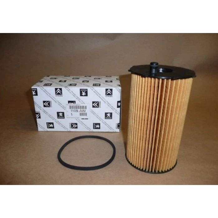 Yağ Filtresi 407 / 607 05Sonrası 2.7 Hdı / C5 / C6 08Sonrası 2.7 Hdı (Oem No: 1109Aw)