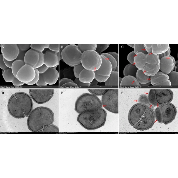 Debrıyaj Setı Psa 206/207/Bıpper/Nemo 1.4 Hdı 2007- (Oem No: 1611266580/1611284980)