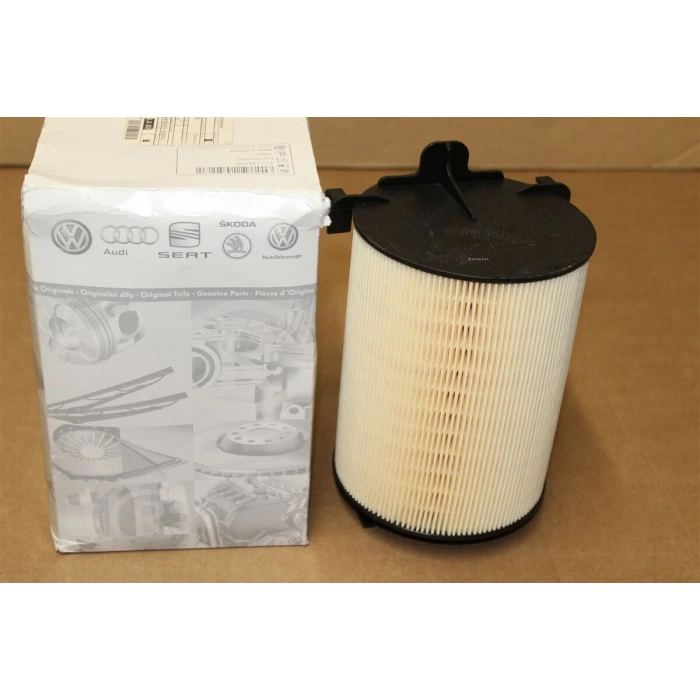 Hava Filtresi Süngerlı-Sılındır Vw Golf5-Golf6-Jetta-Passat-Caddy-A3-Leon Blr-Bly-Bvz-Bse-Bgu 1,6-2,0 Fsı 04-10 (Oem No: 1F0129620C)