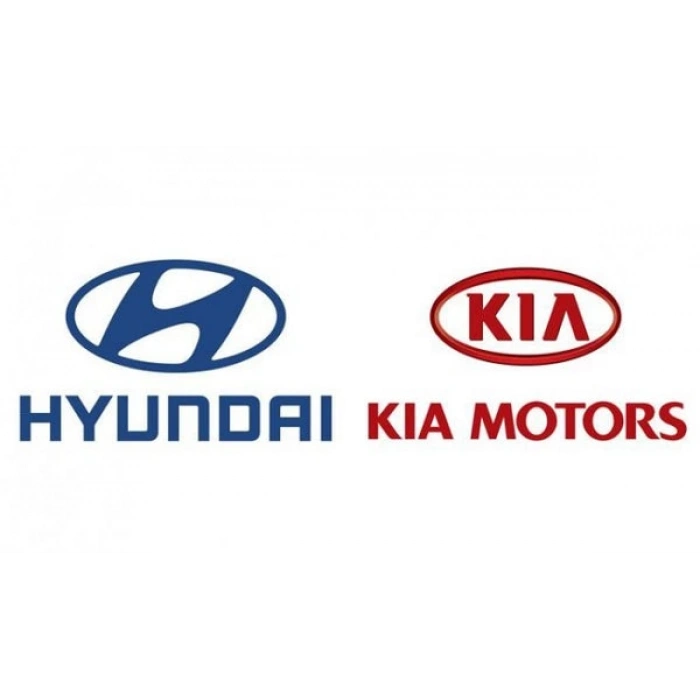 Sensör Tdc (Eksantrik) İ20 1.4 / İ30 1.6 Benzinli (Oem No: 39350-2B020)