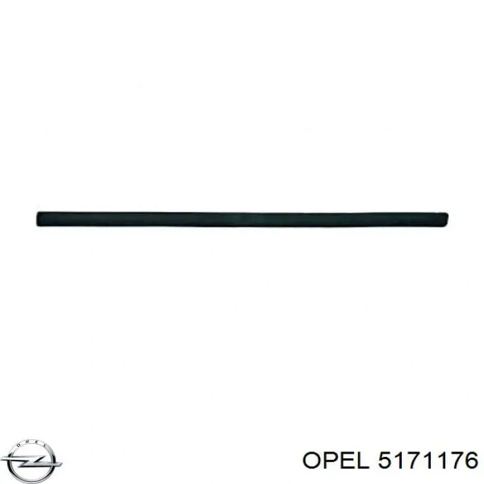 Kapı Bandı Ön Sag Opel Merıva A Bm 03- (Oem No: 5171176)
