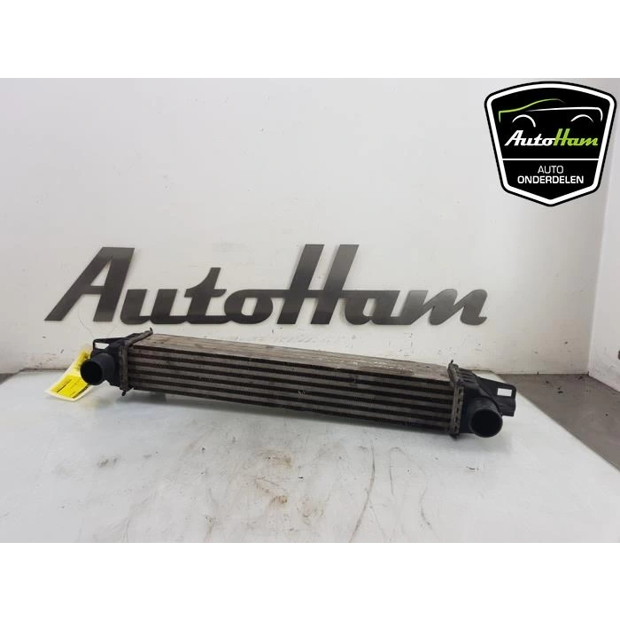 Turbo Radyatörü (Intercooler) Fıorıno 15Sonrası / Bıpper 15Sonrası / Nemo 15Sonrası 1.3Jtd-1.4Hdı Brazıng (Oem No: 51877663)