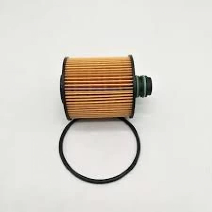 Yağ Filtresi Egea / Doblo / Freemont / 500 / Ducato / Evo / Combo 10Sonrası 1.6-2.0Jtd Euro 5 (Oem No: 55223416)