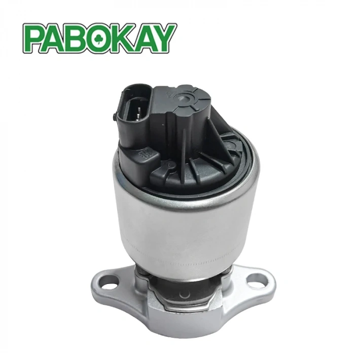 Egr Valfi Astra F / Corsa B / Vectra B 93-01 X12Sz-X14Sz-X14Xe-X16Xel (Oem No: 5851005)