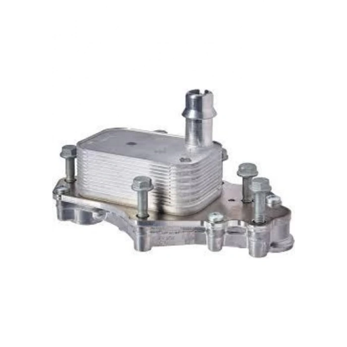 Yag Sogutucusu Komple Opel Astra J Astra K Insıgnıa A Zafıra C Merıva B Mokka B16Dtl B16Dth 15- (Oem No: 650216 650165)