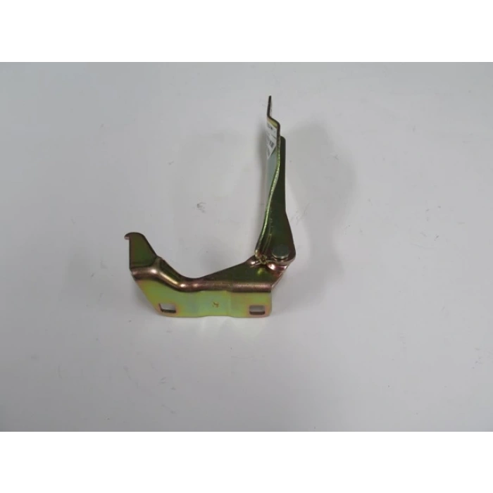 Nıssan Pıck Up- Navara- 06/10; Kaput Menteşesi Sağ (Tyg) (Oem No: 65400-4M400)